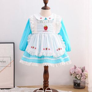 Spring Baby Girls Long Sleeve Embroider Dresses Children Summer Kids Girl Princess Clothing 210429