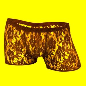 Underbyxor spets underkläder män sexiga se genom trosor boxare påse långa ben ihåliga mesh mens transparent boxer shortsunderkläder