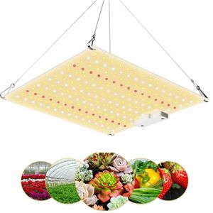 LED-Wachstumslicht Samsung LM301B Board 600 W Vollspektrum-Phytolampe für Gemüseblumen-Sämlingszelt im Innenbereich