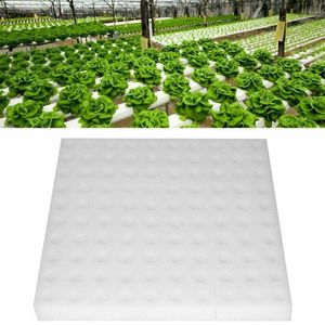 1pcs Hydroponic Sponge Planting Gardening Tool Seedling Sponges For Greenhouse Soilless Vegetable System Planters & Pots