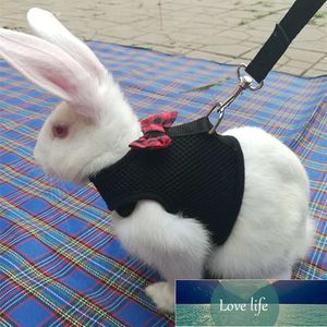 Pet Mesh Soft Harness With Leash Small Animal Vest Hamster Bunny Small Animal Accessories Breathable and comfortable Belt