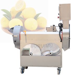 Stainless Steel Double Head Vegetable Cutting Machine Multifunction Automatic Slice Dice Shred Cutter maker manufacturer 220v