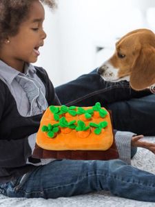 Küçük Hayvan Malzemeleri Peluş Havuç Köpek Oyuncakları Snuffle Mat Puzzle Gizle Yiyecek Yem Arama Eğitimi Yavaş Besleyici Stres Serbest Bırakma Köpekleri Pet