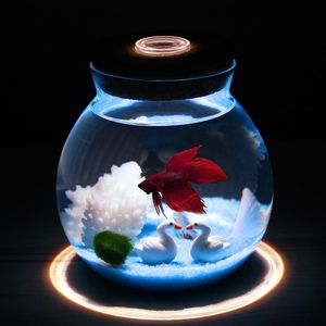 Wholesale ball jar lights for sale - Group buy Aquariums Seaweed Ball Ecological Bottle With Light Micro Landscape Cork Stopper Round Glass Sealed Jar