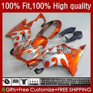 Injektionsform för Honda CBR 600F4I 600 F4I FS CC F4 I 2004 2005 2006 2007 BODY 55NO.95 CBR600F4I CBR600Fs Orange Silver 04-07 600CC CBR600 F4I 04 05 06 07 OEM Fairing Kit