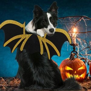 Cat Costumes Pet Dog Bat Wing Wings Party Small Po Props Halloween Cosplay Fancy Dress Up Outfit