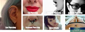 G23Titan Barra Circular Barbell Circular Bananabell Labret Stray Barbell 16G Titanium Body Anel Ear Piercings para mulheres