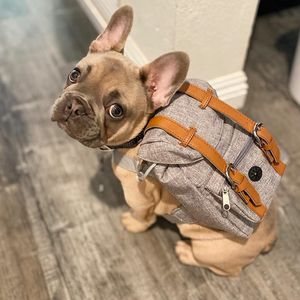 Модный дизайнерский рюкзак для собак, седельная сумка, регулируемая сумочка для щенков на открытом воздухе, сумка для домашних животных, сумка для маленьких собак, путешествия, шнауцер, шиба, льну, французский бульдог G02