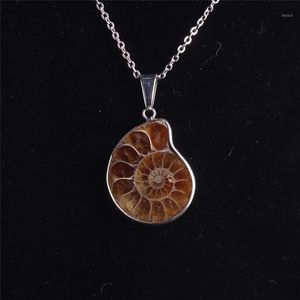 Wholesale mens seashell necklace resale online - Reiki Healing Fashion Necklace Natural Ammonite Seashell Fossils Snail Pendants Ocean Conch Reliquiae Pendant For Women Men Chains