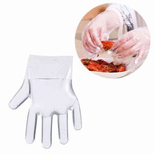 Eco-friendly Plastic Disposable Gloves Restaurant Home Service Catering for Kitchen Food Procing Wholesale Lx0769