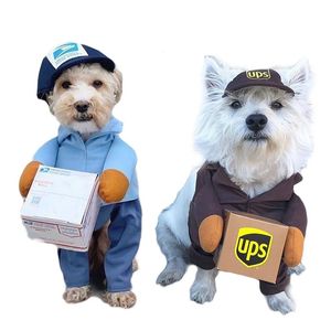 Cão vestuário courier cosplay roupas gato engraçado animal de estimação papel de roupa jogar terno expresso pacote pirata terns festa de halloween