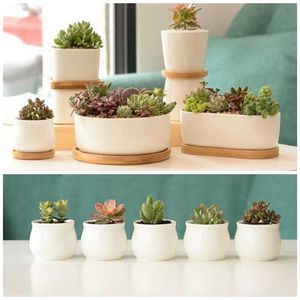 Vit porslin succulent potten gröna växter blomma kruka med bambu bricka kreativ kontor bordplantplatta koncisa vas heminredning 210712