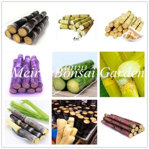 100 pcs seeds Vegetable fruits bonsai plants Sugar cane plantas for home and garden in winter decoration four seasons Budding Rate 95% Aerobic Potted Natural Growth