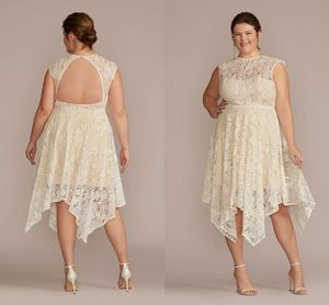 High Neck Lace Asymmetrical Plus Size wedding dresses 2022 Little White Dress Backless Champagne Lining Beach Bridal Gown