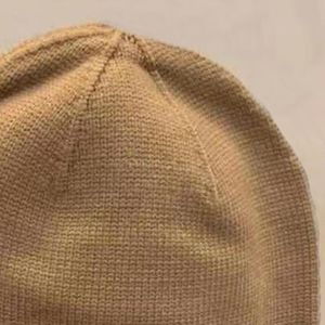 Вязаная шапка Зимняя шерстяная шапка для мужчин и женщин Дизайн Модная хип-хоп буквенная шапка с однотонным черепом Повседневная теплая шапка Des Bonnet высокого качества