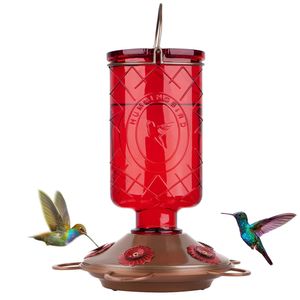 2022 Ny Pet Bird Supplies Glass Hummingbird Feeders för utomhus matningsstationer uns röd flaska Gravity matad kycklingmatare Ingen avfall kyckling