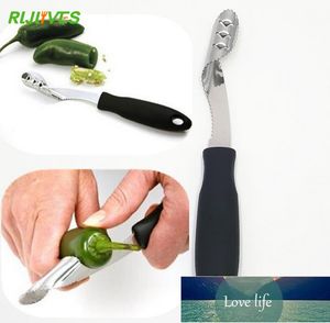 1 Stück Edelstahl Cutter Corer Slicer Werkzeug Obstschäler Küchengerät Gadget Gesundes Küchenzubehör Kochwerkzeuge Fabrikpreis Expertendesign Qualität