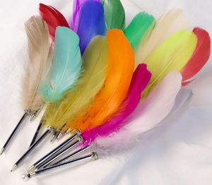 Single Retro Quill Pens Large Goose Stationery Gift Color Feather Ballpoint Pen Inclusive Office School Writing Supplie SN5298