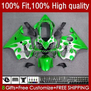 Injection mold Green white Fairings For HONDA CBR 600 F4i FS CC F4 i 600F4i CBR600 F4i 04 05 06 07 55No.71 CBR600F4i 600CC 2004 2005 2006 2007 CBR600FS 04-07 OEM Body Kit