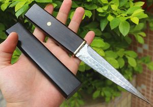 New Outdoor Survival Straight Knife VG10 Damascus Steel Double Edge Blade Ebony Handle Fixed Blades Knives With Wood Sheath