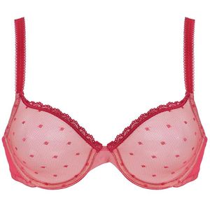 Big Red Sexy Bras For Women See Through Mesh Transparent Dot Wire Underwear Drop 32 34 36 38 40 42 44 A B C D DD E DDD F