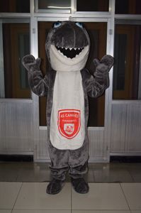 Prawdziwe zdjęcie Shark Mascot Costume Fancy Dress for Halloween Carnival Party Support Dostosowywanie