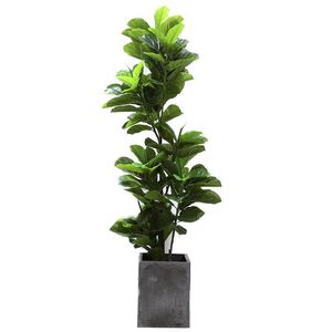 Artificial Banyan A Large Ornamental Tree Of Greenery Store El Office Living Room Year Home Decor Decorative Flowers & Wreaths