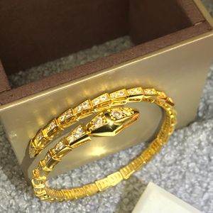 BNV Top quality bangle diamants 18K gold plated Factory direct sales jewelry classic style Bangle diamonds Bracelets designer European size anniversary gift