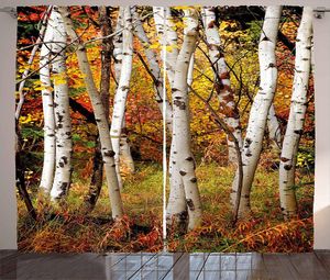 Perde perdeler sonbahar dekoru perdeleri beyaz huş ağaçları ile sonbahar yaprakları büyüme vahşi doğa ekoloji sakin görünümü oturma odası pencere