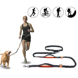 Elastic Dog Running Belt Leash Set Hands Free Bungee Retractable Pet Leashes Jogging Training For Medium Large Dog Supplies 210712