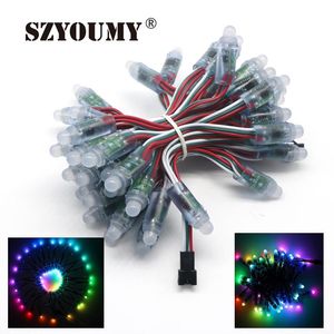 Wholesale input dc5v resale online - Modules SZYOUMY Pieces mm WS2811 RGB Wire Cable Led String IP68 Waterproof DC5V Input Digital Colors Pixel Lighting