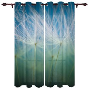 Wholesale window valances for sale - Group buy Curtain Drapes Living Room Curtains Dandelion Close Up Home Decoration For The Kitchen Study Bathroom Window Valance