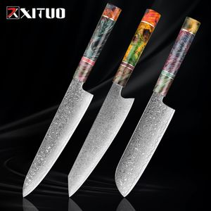XITUO Damascus Chef Knife: VG10 Japanese Steel, 67-Layer Blade, Stable Wood Handle, 8  Gyuto Design. Perfect for Kitchen & Home Cooking.