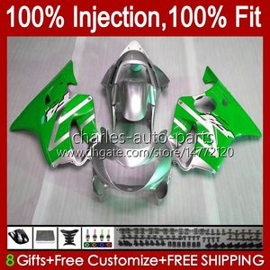 100% passform OEM Fairings för Honda CBR 600F4 600FS 600 F4 FS CC 99-00 BODY 54NO.206 600CC CBR600 F4 CBR600F4 99 00 CBR600Fs 1999 2000 Injektionsform Bodywork Green Silvery