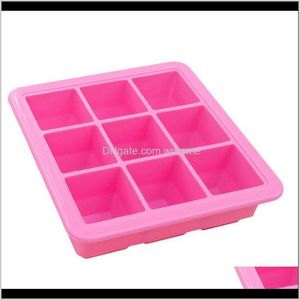 Organizzazione delle pulizie Casa Gardencubes Sile Mold Baby Storage Frutta Latte materno Zer Ice Cube Maker Box Contenitore Candy Bar Bottiglie Barattolo