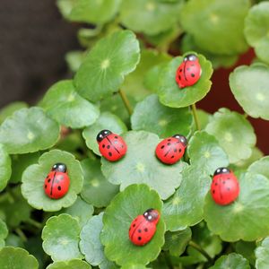 庭の装飾昆虫自己粘着性のあるレディバグミニチュア植物ポットボンサイクラフトアニマルマイクロランドスケープDIY装飾ミニレディバグYFA3329