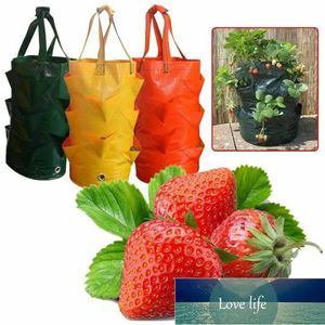 Borsa per la coltivazione di piante di fragole 3 galloni Sacchetti per contenitori multi-bocca Coltiva la fioriera Pouch Root Bonsai Plant Forniture da giardino