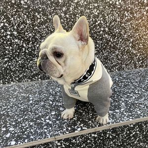 Собака одежда мода дизайнер собака лоскутное свитер толстовки пуловер логотип печатная кошка одежда