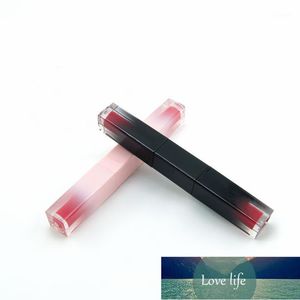 Tubo De Cabeza al por mayor-10 ml vacío doble cabeza labios brillo tubos gradiente rosa lápiz labial contenedor maquillaje embalaje embalaje