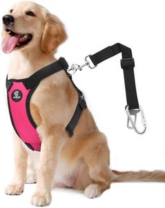 Dog Vehicle Safety Vest Harness, Adjustable Soft Padded Mesh Car Seat Belt Leash Harness with Travel Strap and Carabiner for Car 211006