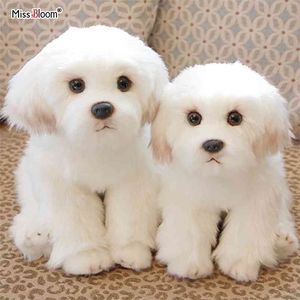 Bichon Frize Yavru Dolması Malta Köpek Peluş Oyuncak Sevimli Simülasyon Evcil Hayvan Kabarık Bebek Bebekler Doğum Günü Hediyeleri Çocuklar için Bırak 210728