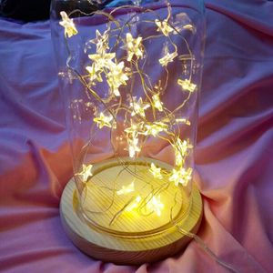 5 M LED Star Fairy Light String Battery Hearted Party Garland Lampa Taśma Outdoor Street na Halloween Boże Narodzenie Struny