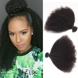 Wholesale afro curly hair bundles for sale - Group buy Wholesaler human hair bundles Afro curly no chemical treatment chemical inch