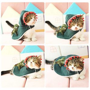 Cat clothes COS British short blue dogs kittens cats Halloween funny cloak autumn cute