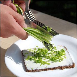 Narzędzia warzywne Stainless Steel Cooking Akcesoria kuchenne Noże 5 Warstwy Nożyczki Sushi Shredded Scallion Cut Zioła Przyprawy Nożyce RH3205