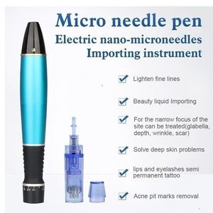 Mini Hem Använd Anti-Puffiness Electric Micro Needle Pen Nano-Microneedles Skönhetsutrustning
