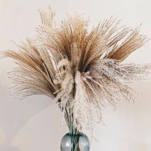 Naturtorkade blommor Bröllop Dekorativa Real Pampas Reed Whisk Grass Artificial Flower Bunch Hem Växt Ornament