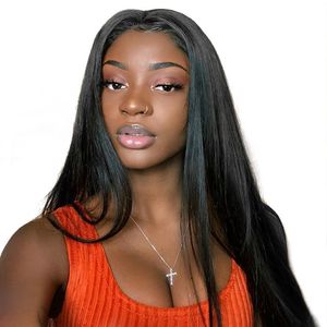 70cm 28 inches Long Straight Synthetic Wig Simulation Human Hair Wigs Hairpieces for Black and White Women Pelucas 010#