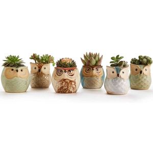 1Pcs Lovely Ceramic Mini Pot Desk Planter For Succulent Plant Bonsai Flower Cactus Owl Pot Gifts For Women Girls Boys Kids Y0314