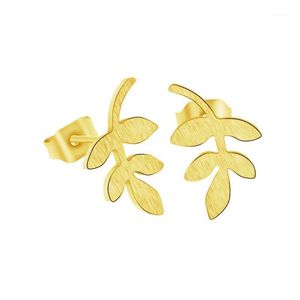Aros Vine Leaf Stud Earrings Stainless Steel For Women Pendientes Mujer Bridesmaid Gift Rose Gold Jewelry Men